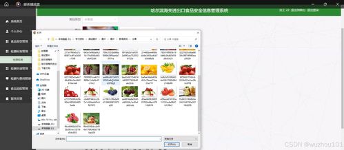 基于SSM與Vue的哈爾濱海關進出口食品安全信息管理系統(tǒng) 構(gòu)建互聯(lián)網(wǎng)數(shù)據(jù)服務新范式
